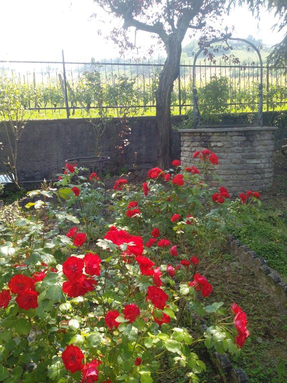 منزل الضيف Diano dʼAlba  في Casa Badinot الغرفة الصورة