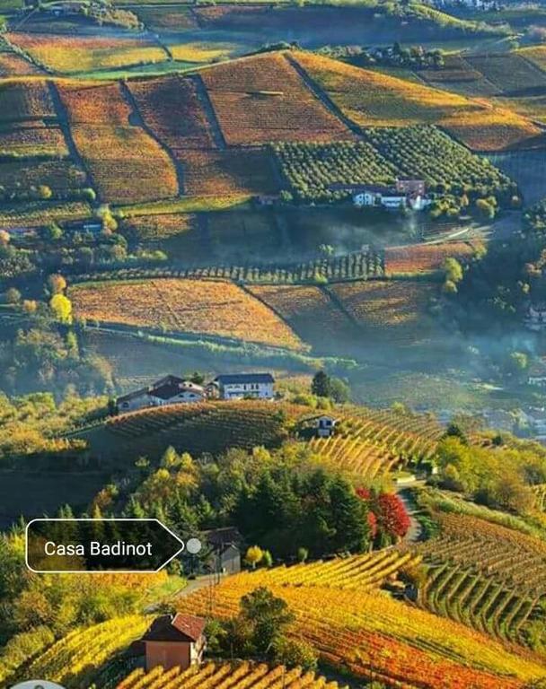 منزل الضيف Diano dʼAlba  في Casa Badinot المظهر الخارجي الصورة